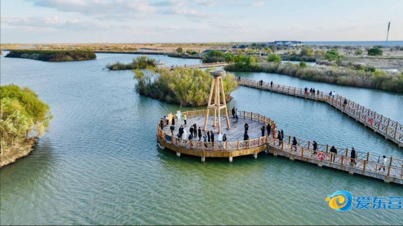 每个环节都 每个环节都